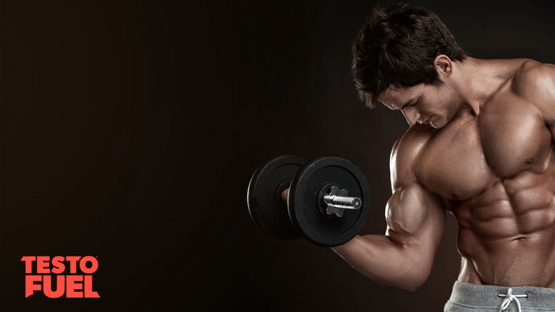 Muscular bodybuilder guy doing exercises with dumbbells over brown background