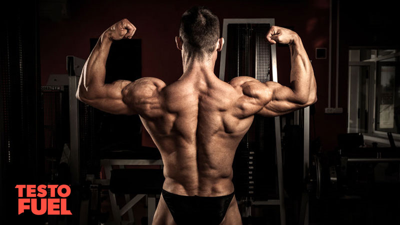 Bodybuilder double bicep pose on dark background