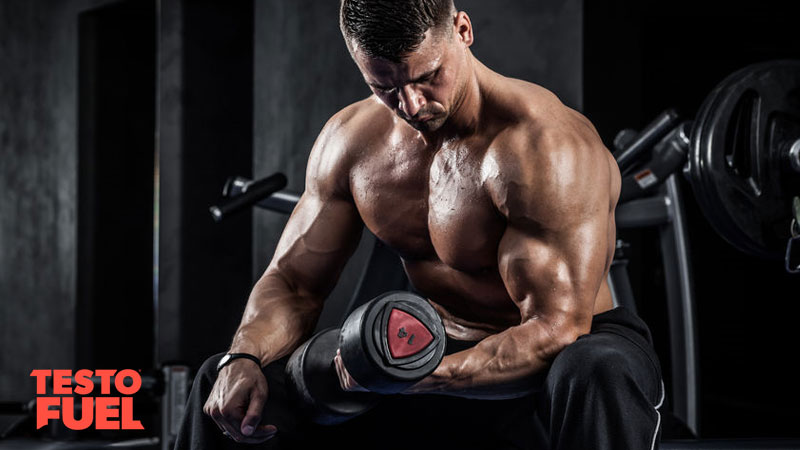 Muscle-athlete-arm-curl-mechanical-tension