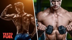 Guide to Cutting Fat Not Muscle: Body Recomposition