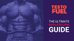 The Ultimate Muscle Building Guide: For Beginners