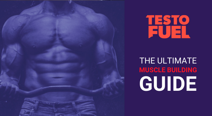 The Ultimate Muscle Building Guide: For Beginners